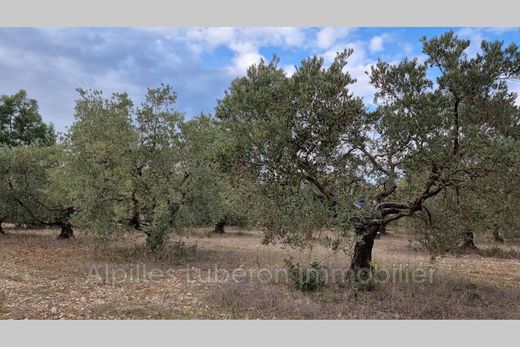 Land in Eygalières, Bouches-du-Rhône