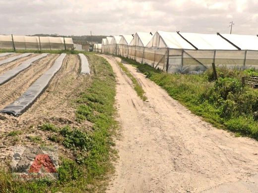 Αγροτεμάχιο σε Torres Vedras, Distrito de Lisboa
