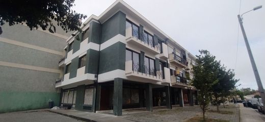 Apartment in Porto, Distrito do Porto