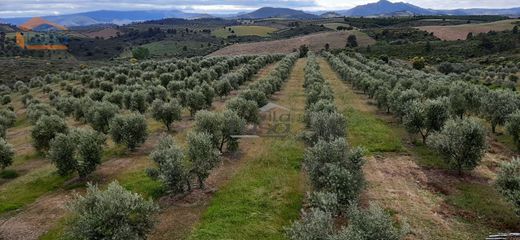 Casa de lujo en Mirandela, Braganza