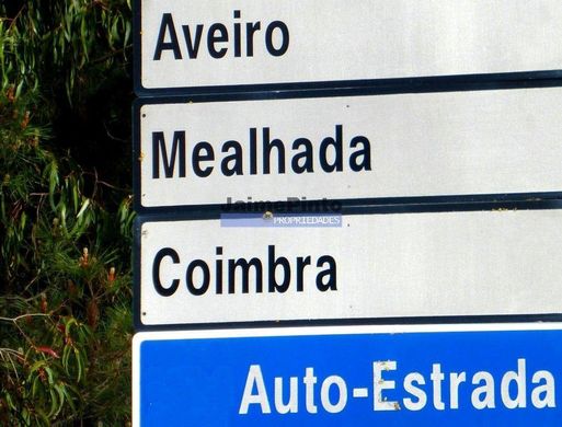 Teren w Cantanhede, Distrito de Coimbra