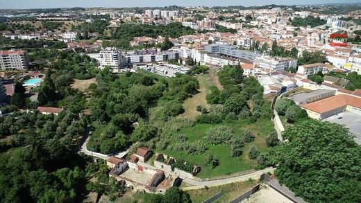 Torres Novas, Distrito de Santarémの土地