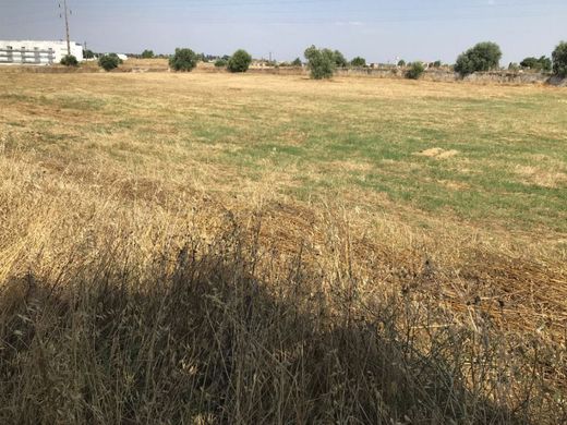 Grond in Évora, Distrito de Évora