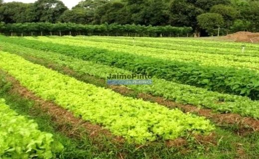 Terreno en Loulé, Faro