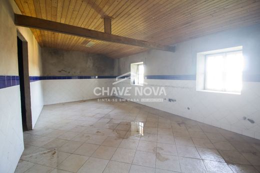 호화 저택 / Felgueiras, Distrito do Porto