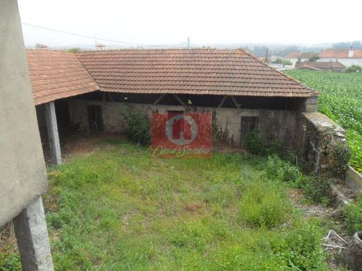 Rural or Farmhouse in Póvoa de Varzim, Distrito do Porto
