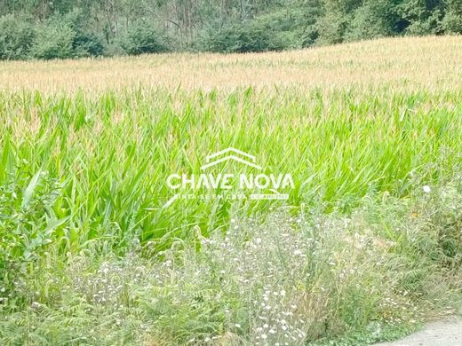 Участок, Santa Maria da Feira, Distrito de Aveiro