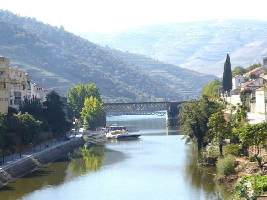 Ρουστίκ ή Αγροικίες σε Alijó, Distrito de Vila Real