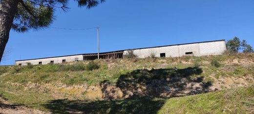 Rural or Farmhouse in Baião, Distrito do Porto