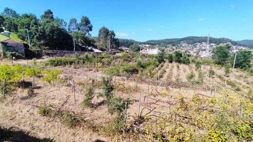 Casa rural / Casa de pueblo en Esposende1, Esposende