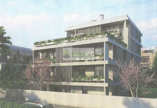 Daire Porto, Distrito do Porto