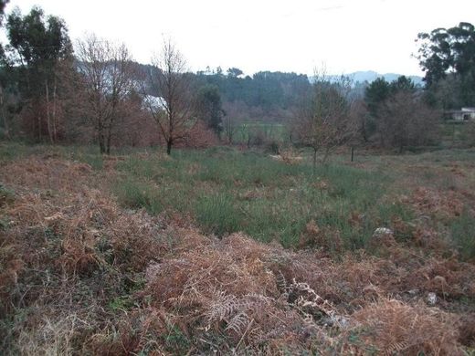 Участок, Гимарайнш, Guimarães