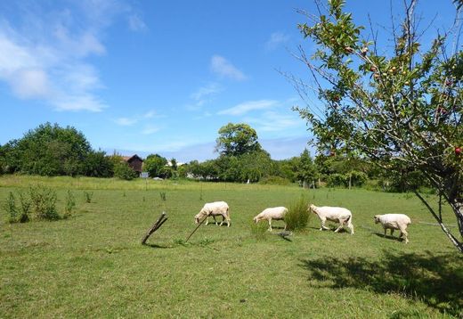 Rural or Farmhouse in Vila Nova de Gaia, Distrito do Porto