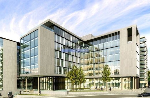 Land in Águeda, Aveiro