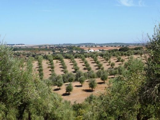 Land in Avis, Distrito de Portalegre