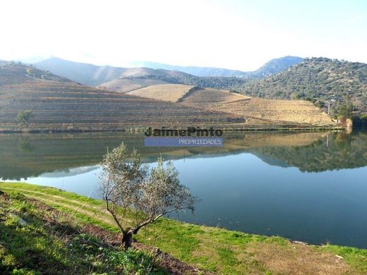 Terreno a São João da Pesqueira, Distrito de Viseu