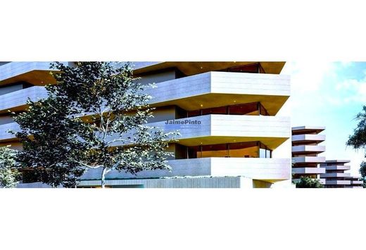 Guimarães, Distrito de Bragaの土地