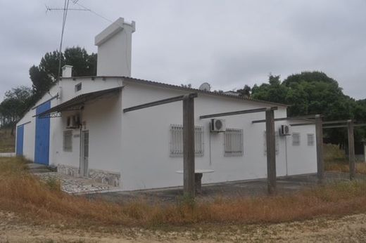 Rural or Farmhouse in Ponte de Sôr, Ponte de Sor