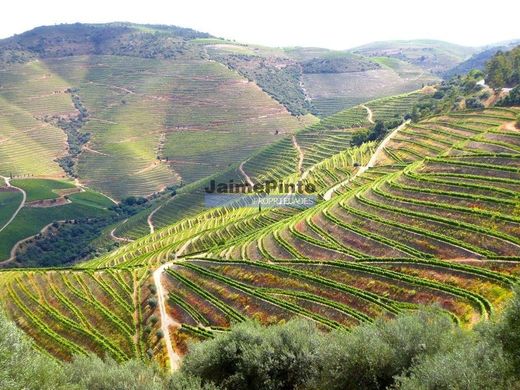 ‏בתים כפריים או חוות ב  Alijó, Distrito de Vila Real