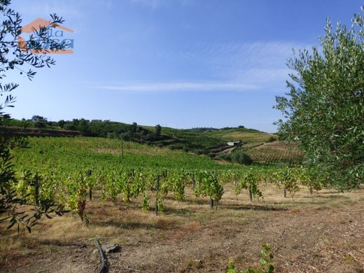 Rural ou fazenda - Tabuaço, Viseu