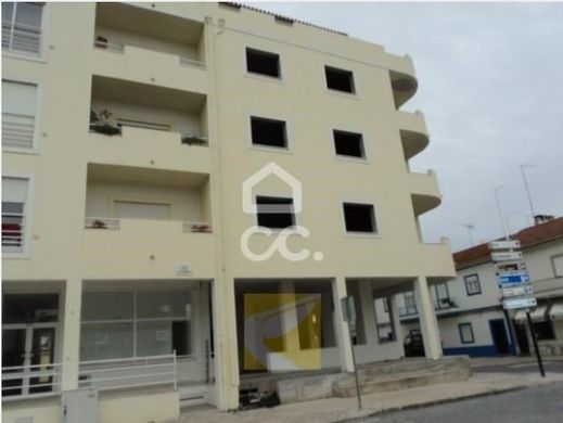 Luxury home in Coruche, Distrito de Santarém