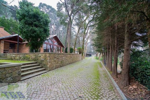 Rural or Farmhouse in Oliveira de Azeméis, Aveiro