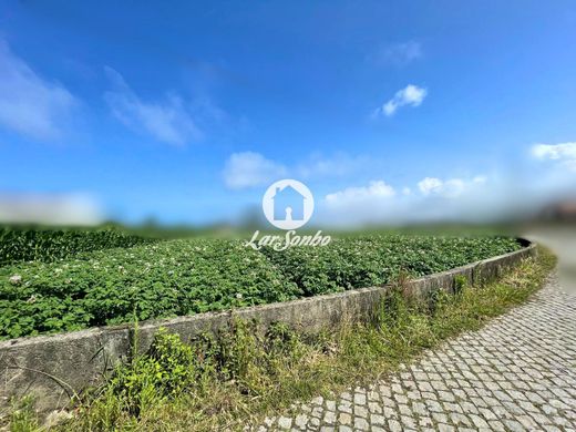 Участок, Эшпозенде, Esposende