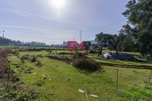 토지 / Valongo, Distrito do Porto