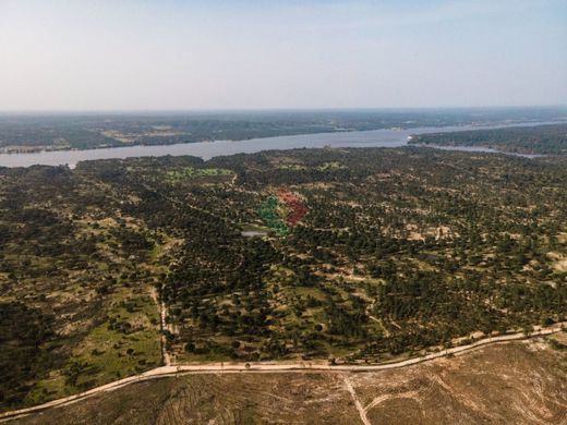 Land in Ponte de Sôr, Ponte de Sor