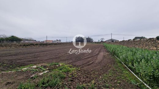 토지 / Póvoa de Varzim, Distrito do Porto
