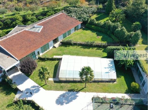 Rural or Farmhouse in Penafiel, Distrito do Porto