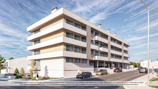 Daire Matosinhos, Distrito do Porto