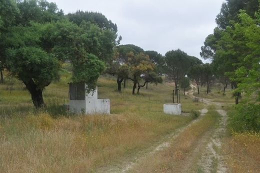 Land in Ponte de Sôr, Ponte de Sor