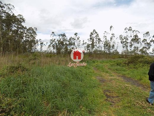 Land in Vila do Conde, Distrito do Porto