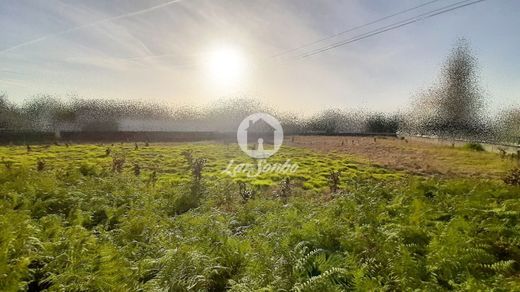 Участок, Póvoa de Varzim, Distrito do Porto