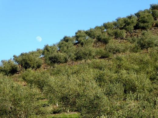 Ρουστίκ ή Αγροικίες σε Alfândega da Fé, Distrito de Bragança