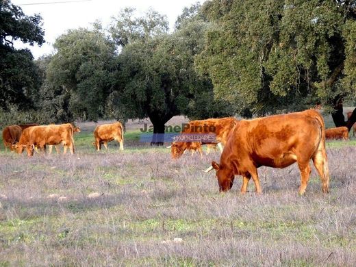 Αγροτεμάχιο σε Odemira, Distrito de Beja