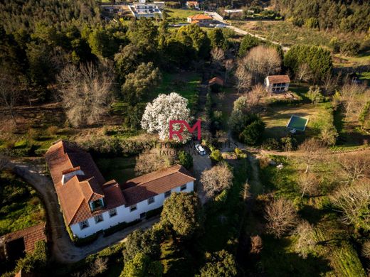 Landhaus / Bauernhof in Paredes, Distrito do Porto