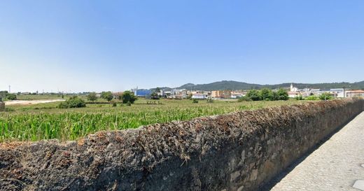 Barcelos, Distrito de Bragaの土地