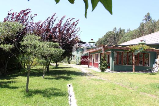 Demeure ou Maison de Campagne à Vila Nova de Famalicão, Distrito de Braga