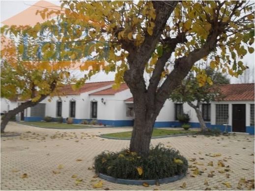 Arsa Coruche, Distrito de Santarém