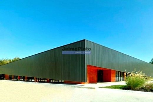 ‏קרקע ב  Aveiro, Distrito de Aveiro