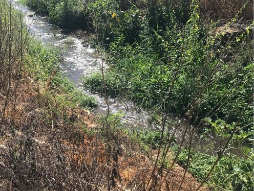 Grond in Estremoz, Distrito de Évora