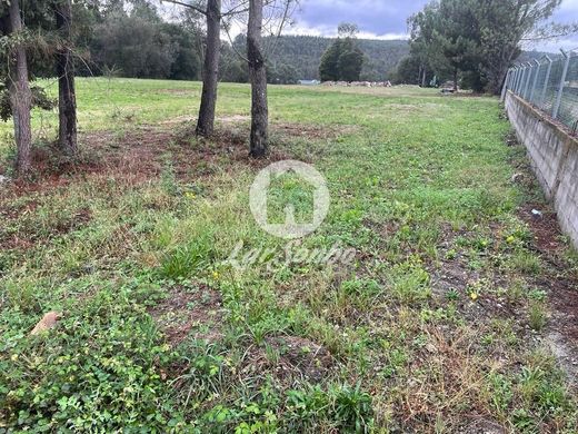 Grundstück in Vila Nova de Famalicão, Distrito de Braga