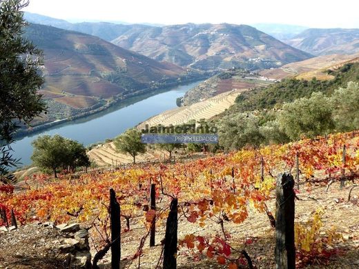 Terrain à Sabrosa, Distrito de Vila Real