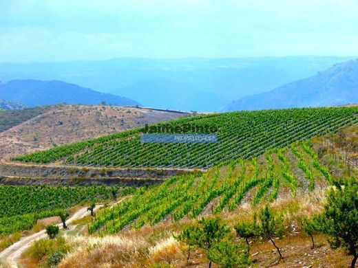 Terreno a Vila Nova de Foz Côa, Distrito da Guarda