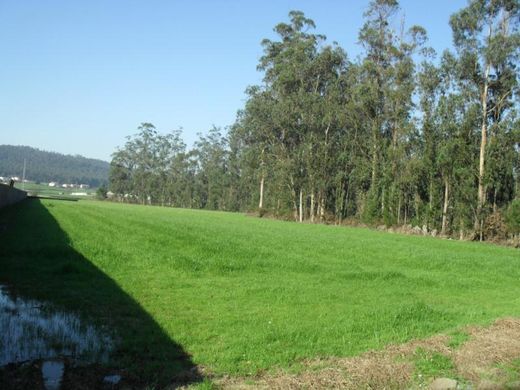Grundstück in Póvoa de Varzim, Distrito do Porto