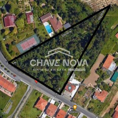 Santa Maria da Feira, Distrito de Aveiroの土地