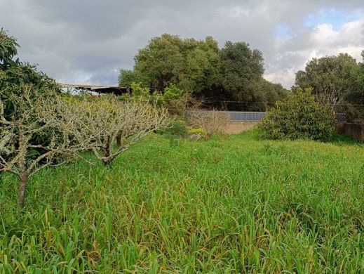 ‏קרקע ב  Cascais, Distrito de Lisboa