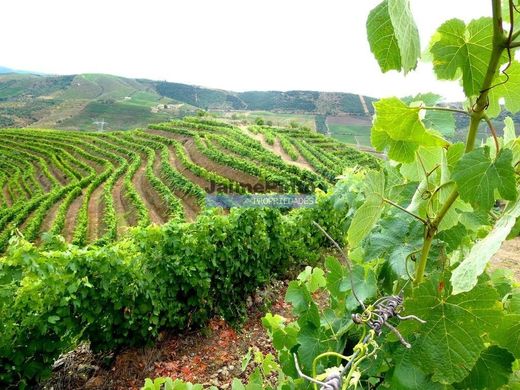 Land in Vila Nova de Foz Côa, Distrito da Guarda